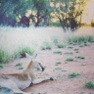 Meet your Posher, Bill